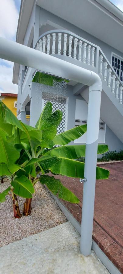 Villa Ravens'S Paradise Azul Willemstad Exterior photo